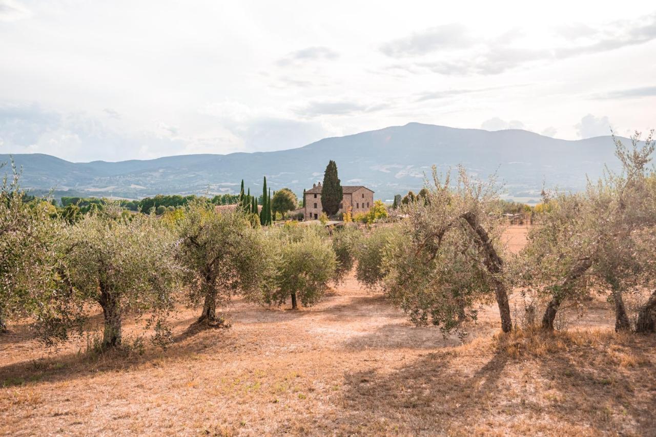 San Carlo A La Molinella Guest House Citta della Pieve Bagian luar foto