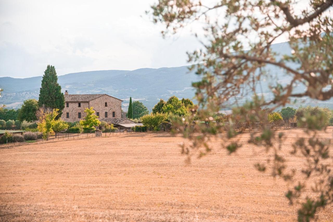 San Carlo A La Molinella Guest House Citta della Pieve Bagian luar foto