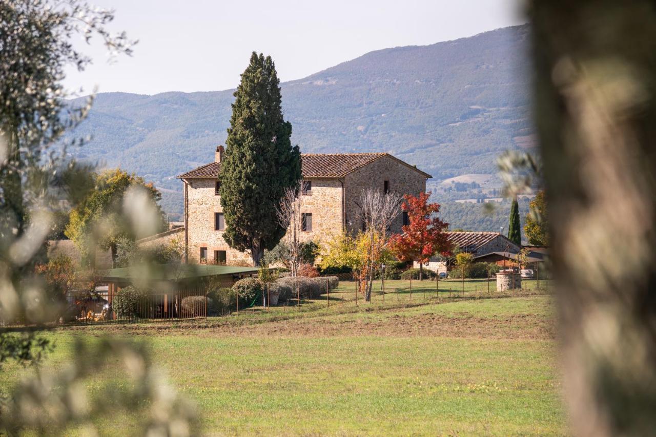 San Carlo A La Molinella Guest House Citta della Pieve Bagian luar foto